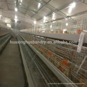 used poultry equipment baby poultry cage for sale